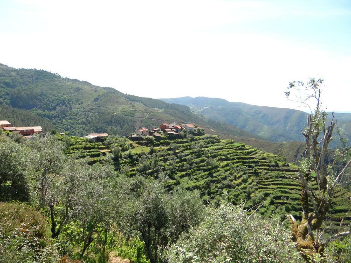 Cabanelas Country House - Casa Do Afonso Vale de Cambra Eksteriør bilde