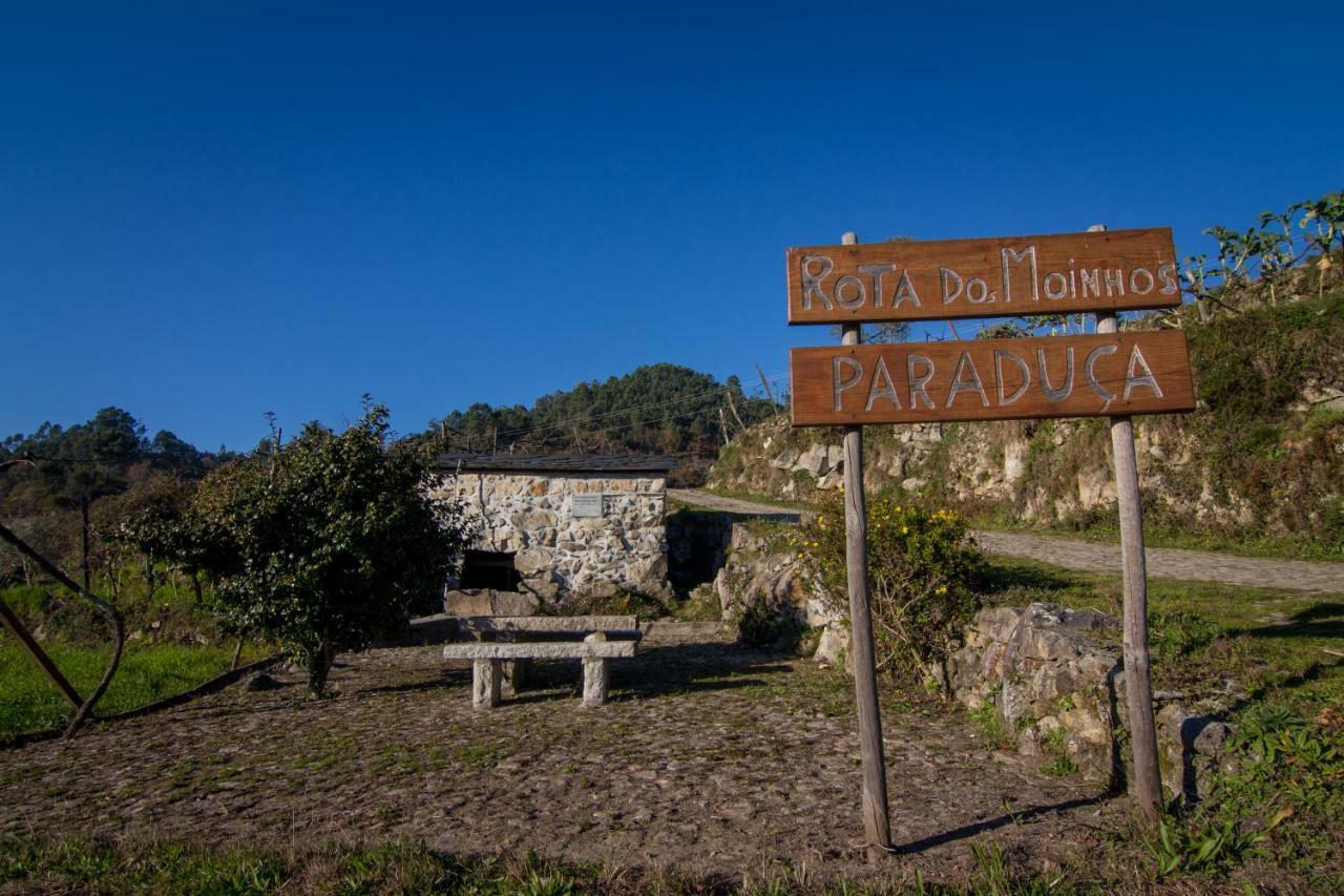 Cabanelas Country House - Casa Do Afonso Vale de Cambra Eksteriør bilde